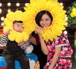 太阳集市谢娜吃瓜,揭秘娱乐圈幕后故事