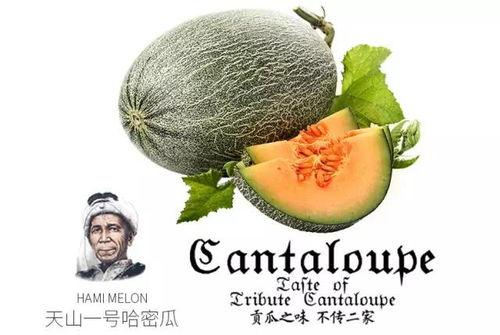 红夫人吃瓜推荐,盘点那些让人欲罢不能的瓜界佳话