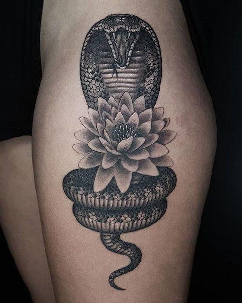 吃瓜爆料蛇纹身,吃瓜爆料揭示惊人真相