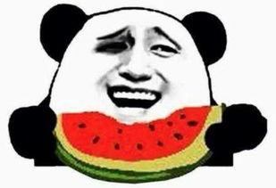 实时吃瓜群众,揭秘娱乐圈最新热点事件