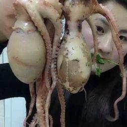 吃货吃八瓜鱼视频,吃货眼中的海洋珍馐