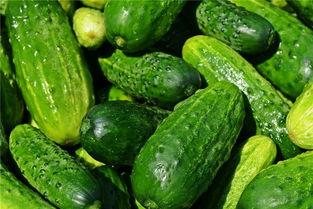 梦见我吃少瓜,揭秘“我吃少瓜”的神秘寓意