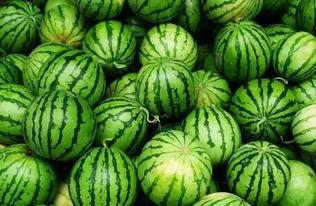 中国吃瓜爆料群,网络舆论场中的“幕后推手”