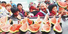 家家红吃瓜大赛,全民狂欢,瓜界盛宴一触即发