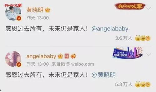 吃瓜拿捏,轻松成为社交达人