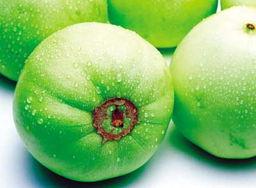 种瓜吃瓜,收获幸福生活