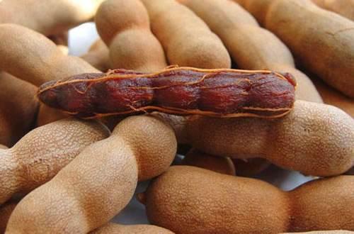 印度吃酸角瓜,传统美食中的神奇果实