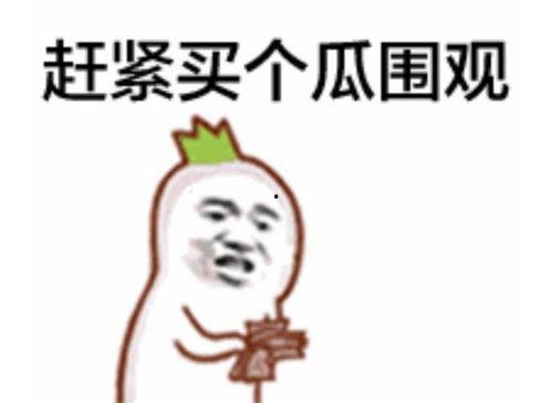 新增表情吃瓜,表情包里的趣味人生