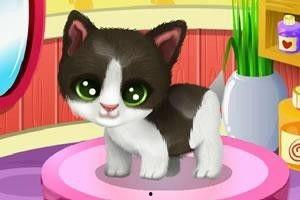 家有萌宠吃瓜图片,欢乐一家亲